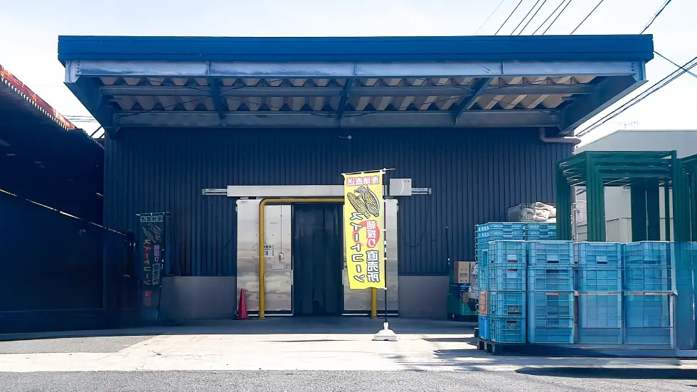 スイートコーン直売所
