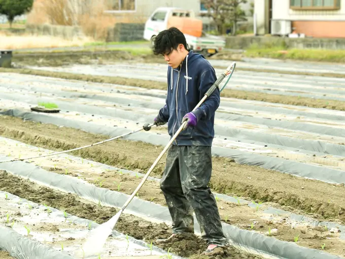 農業生産部