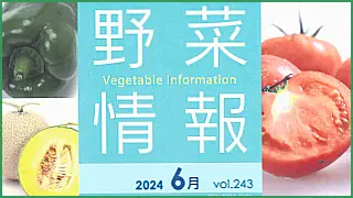 野菜情報