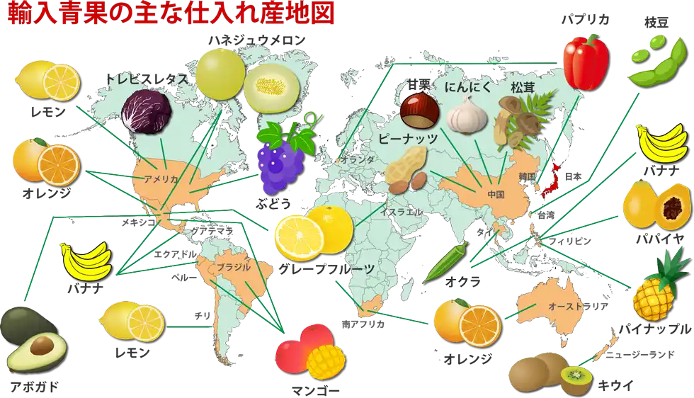輸入青果の主な仕入れ産地図