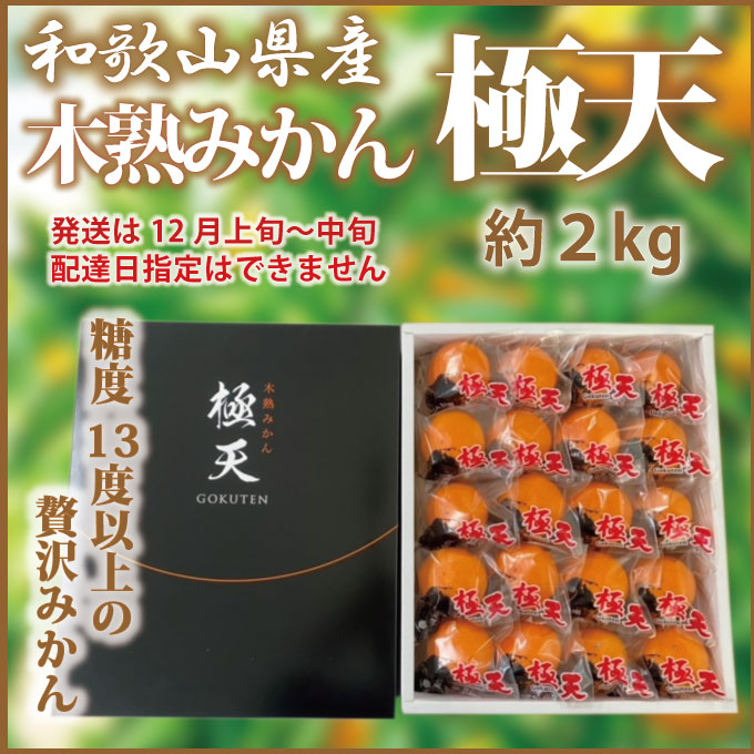 木熟みかん極天 約2kg