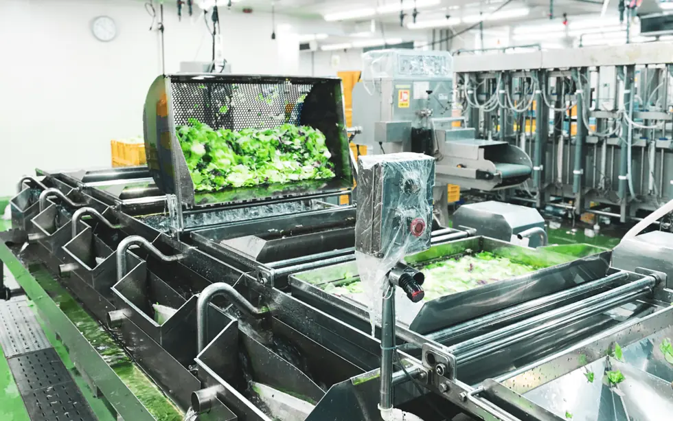 ISO22000認証のカット野菜工場