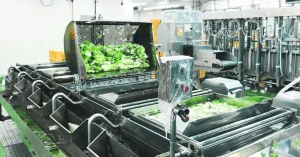 青果卸業界で日本初！ISO22000（食品安全マネジメントシステム）を認証取得