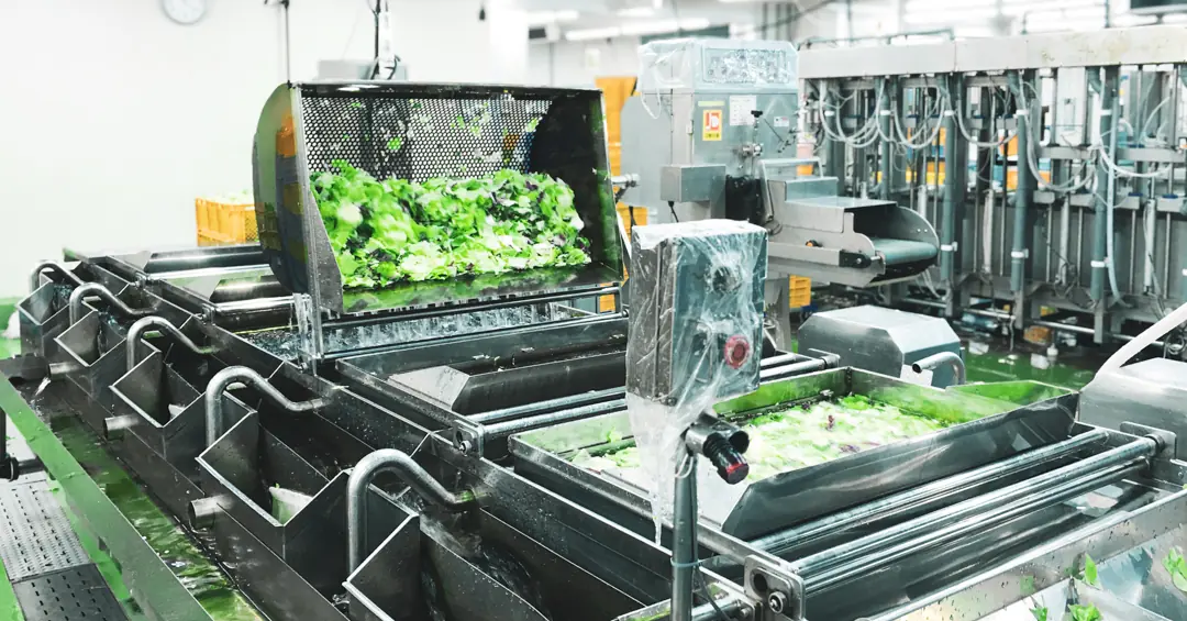 青果卸業界で日本初！ISO22000（食品安全マネジメントシステム）を認証取得