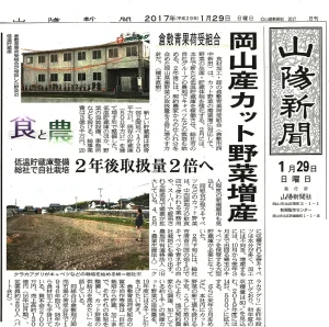 山陽新聞掲載記事 野菜増産と貯蔵庫新設のニュース