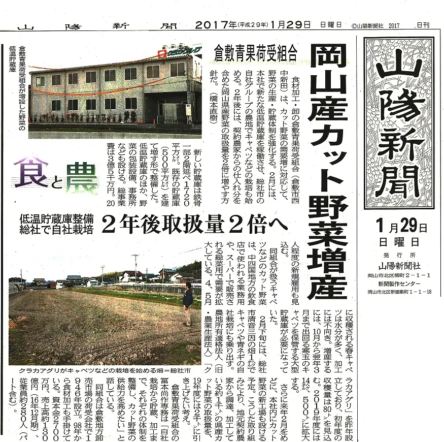 山陽新聞掲載記事 野菜増産と貯蔵庫新設のニュース