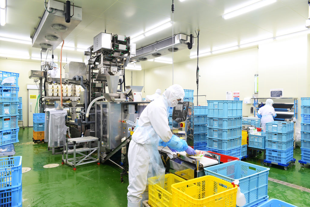 カット野菜工場内の様子