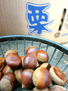 栗(JA上益城)~ほくほく食感が魅力の秋の味覚