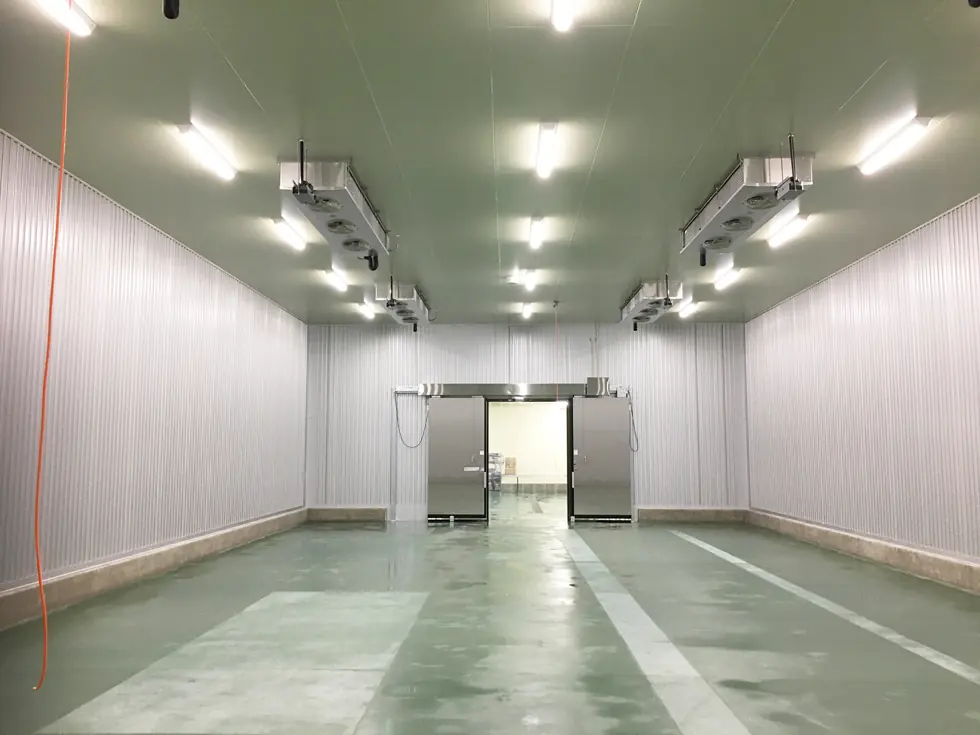 青ねぎ貯蔵施設内部