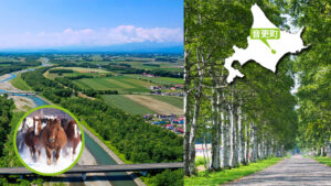 北海道の「JAおとふけ」長葱・玉葱・人参部会の皆様が来社されました