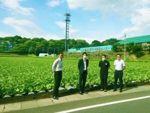 JA利根沼田管内でJGAP認証レタス圃場を視察しました