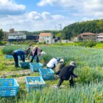 クラカアグリの農業体験を行いました
