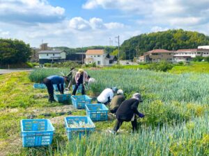 クラカアグリの農業体験を行いました