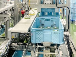 カットネギ工場