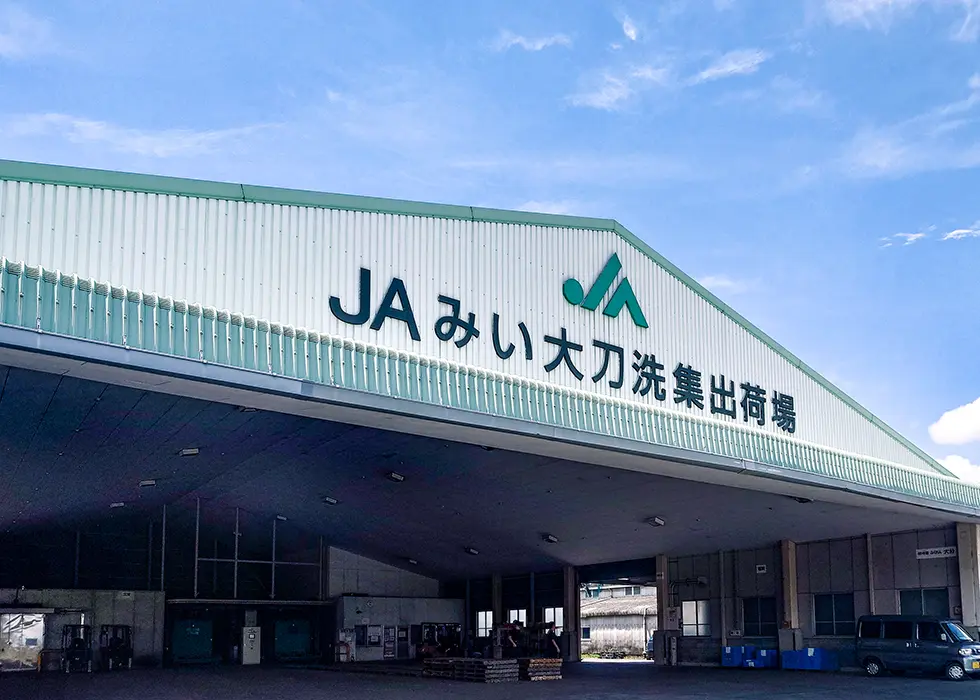 JAみい大刀洗集出荷場