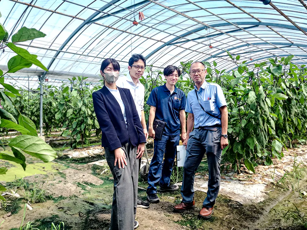 長なす、水菜圃場視察および商談のためJAみい大刀洗集出荷場と園芸流通センターを訪問しました【カット野菜部】