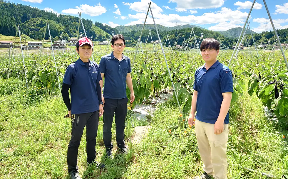 茄子圃場での撮影