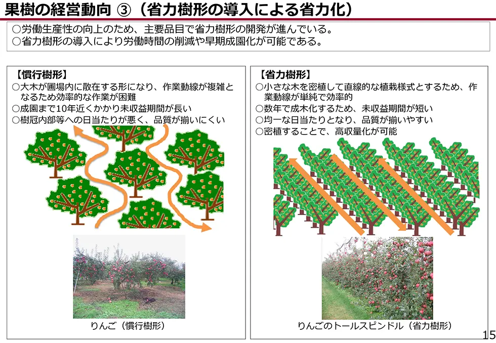 果樹の経営動向（省力樹形の導入による省力化）2