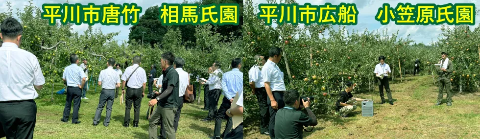 りんご産地情勢報告会01