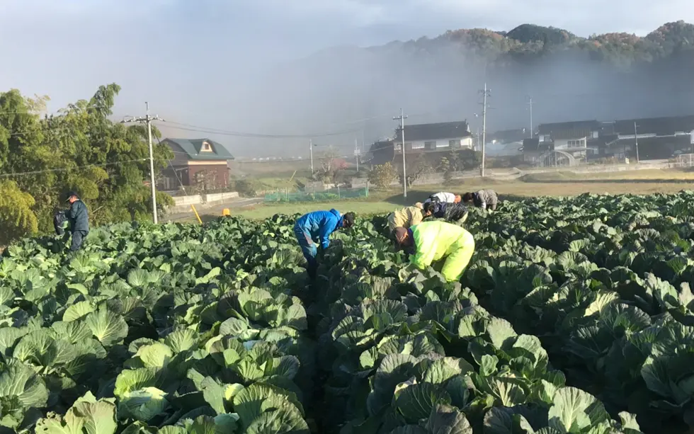 岡山県新見市大佐（岡山県北部青果生産組合）の支援風景