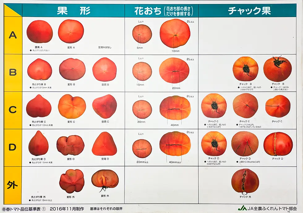 トマト冬春品位基準表