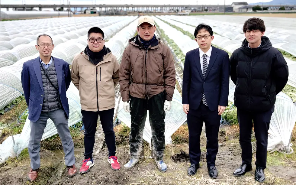 JAやつしろレタス圃場にて