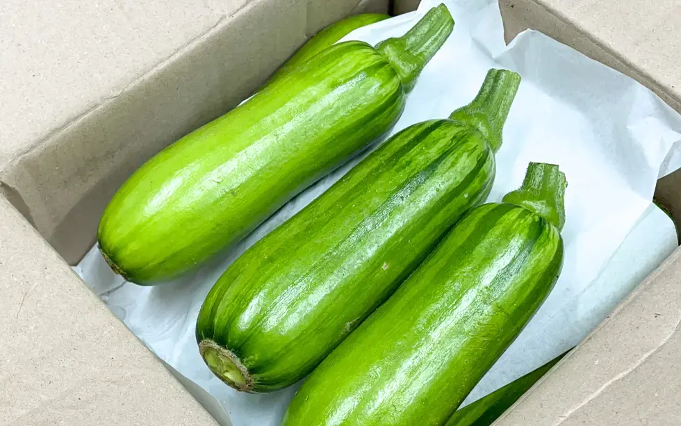 エホバク（애호박）