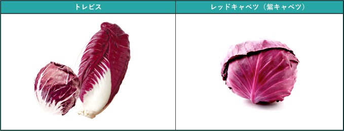トレビスとレッドキャベツ外観の比較