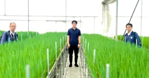 小ネギ生産者、MAYAサステナファーム吉備中央を訪問しました