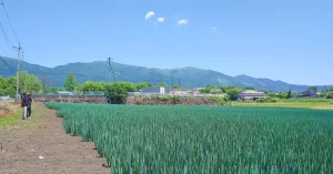 奈義・蒜山の圃場を視察しました