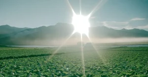 丸西産業、川上村、つま恋のの圃場を訪問しました