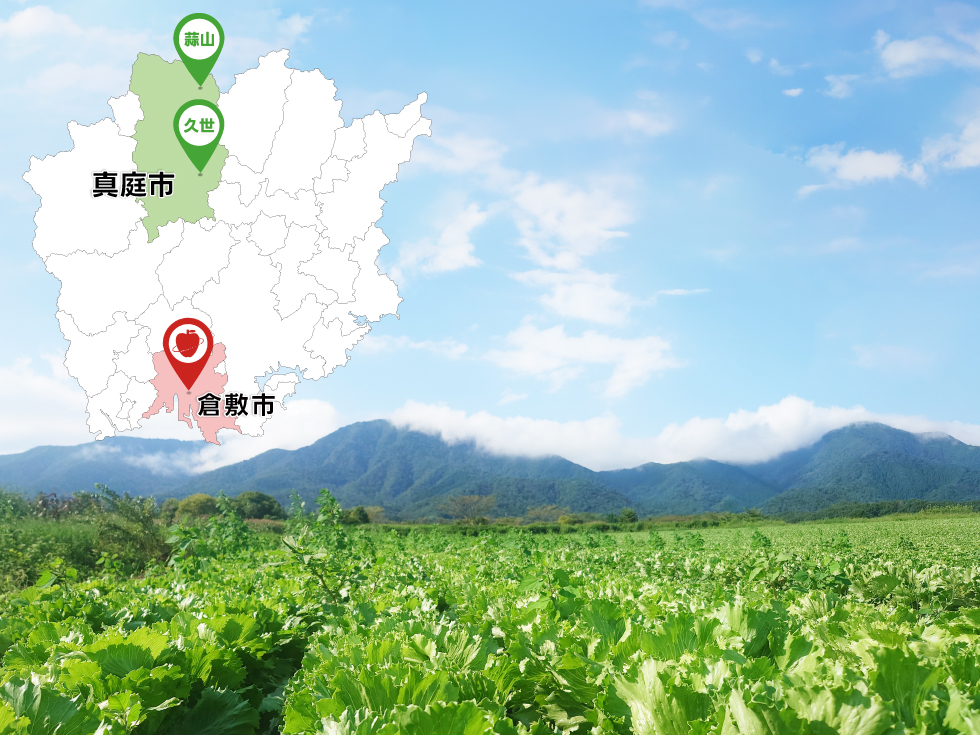 蒜山の白ネギ・レタス圃場を視察しました