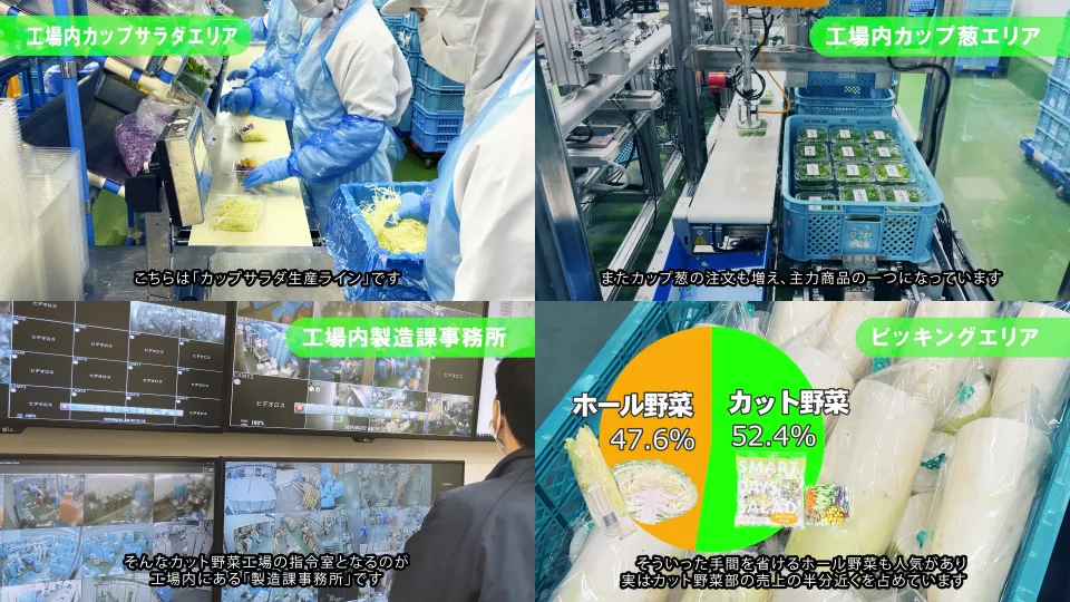 カップサラダ製造ライン