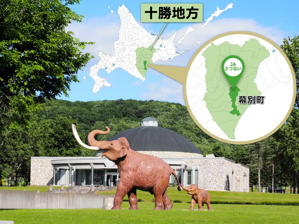 北海道幕別町の忠類ナウマン象記念館
