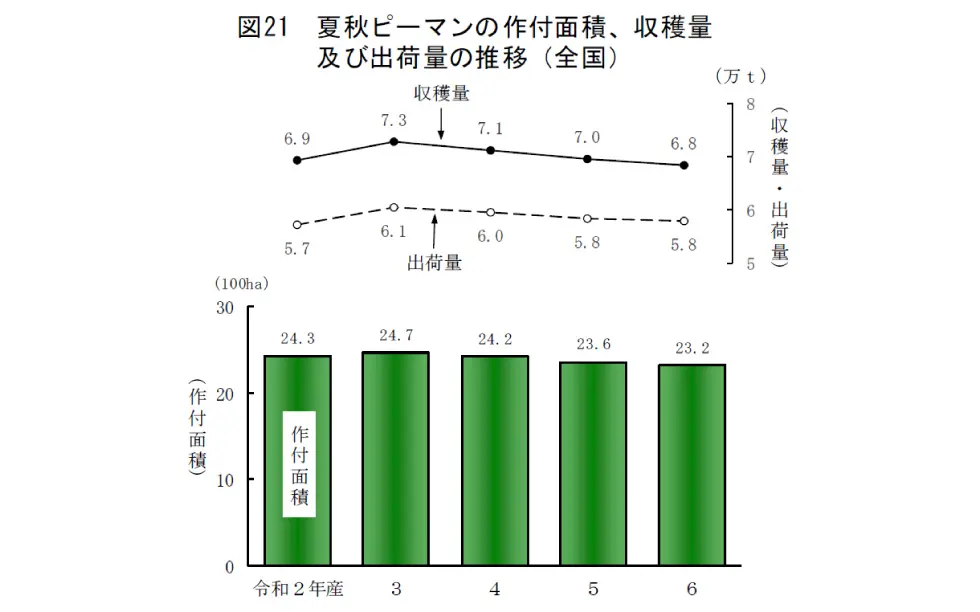 令和6年産夏秋ピーマンピーマンの作付面積、収穫量及び出荷量