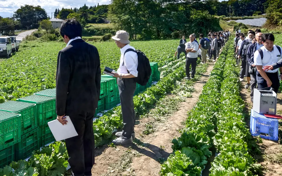 加工・業務用レタス現地検討会