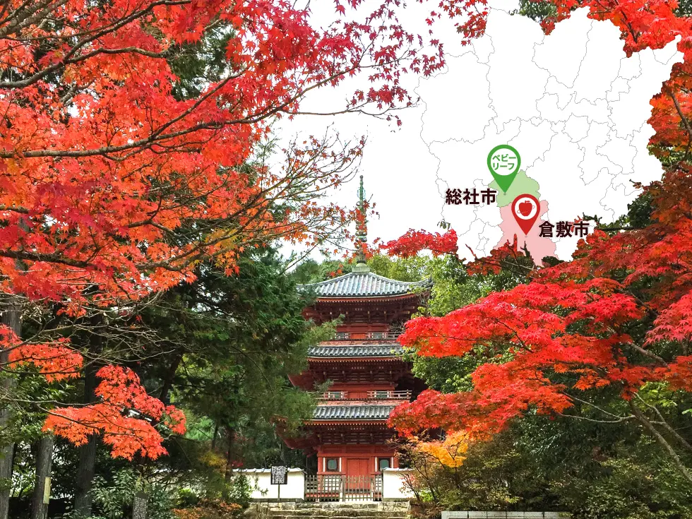 総社市の宝福寺