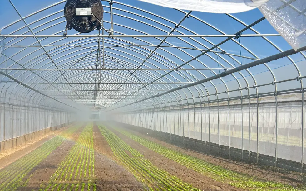 井戸水を利用した水撒き