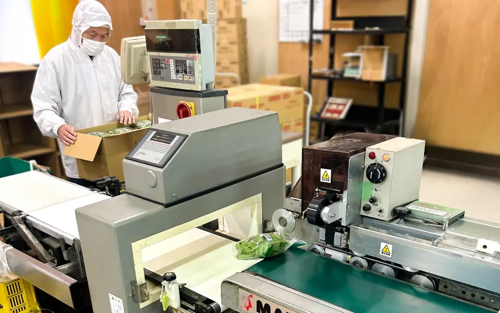 パッケージング作業