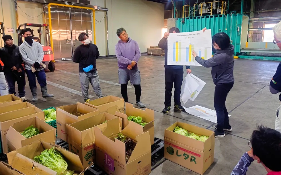 丸西産業熊本支店レタス目揃え会