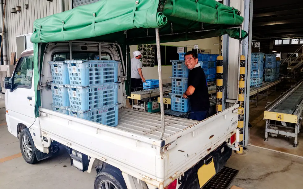 ピーマン生産者の黒岩様