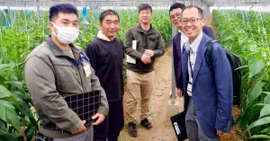 JA高知県を訪問｜加工・業務用ピーマンの商談と産地視察を行いました