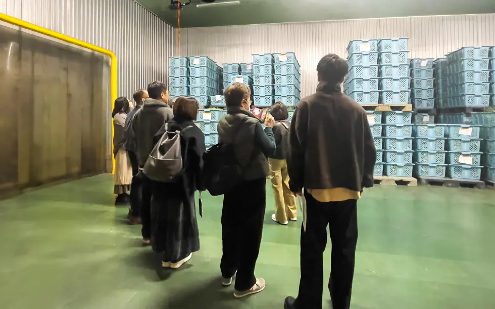 青ネギ貯蔵施設