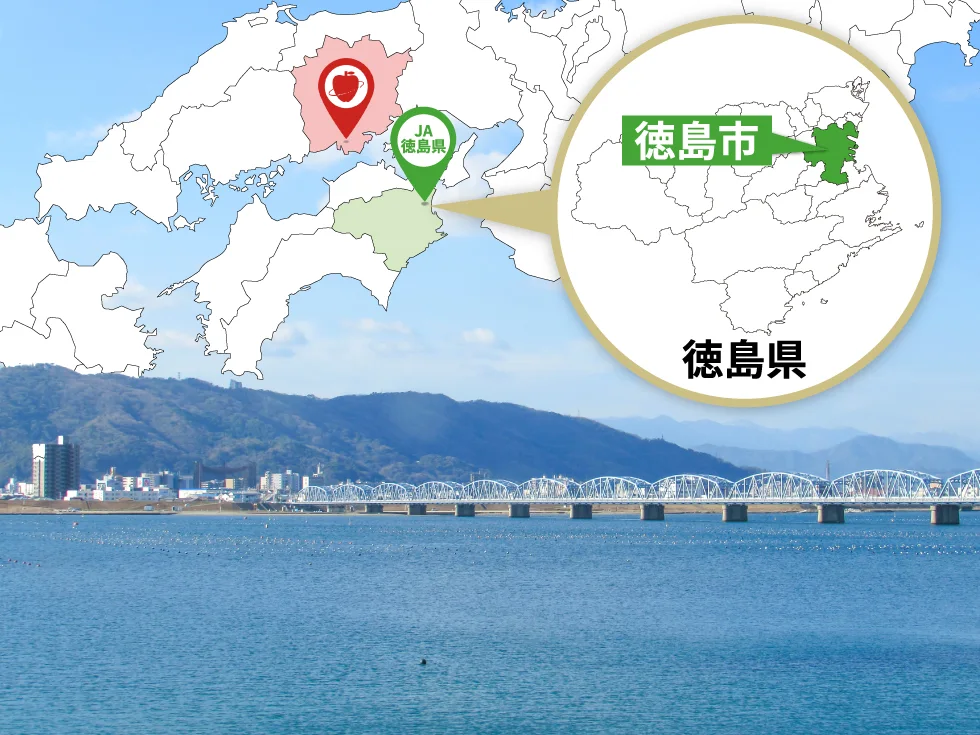 徳島産地地図