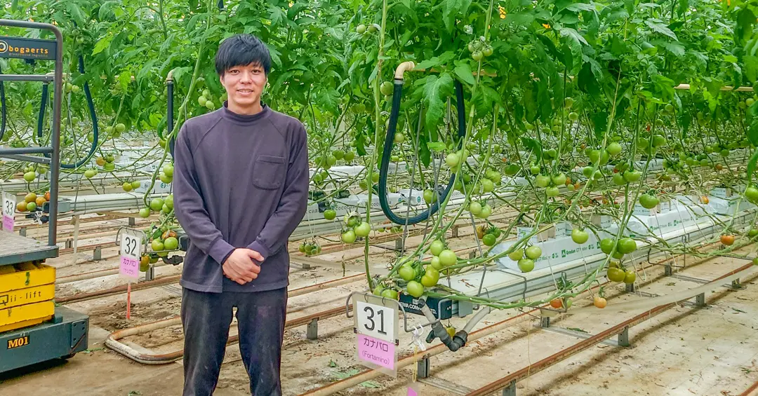 JA全農とくしま、JA徳島、トマトパークを訪問しました