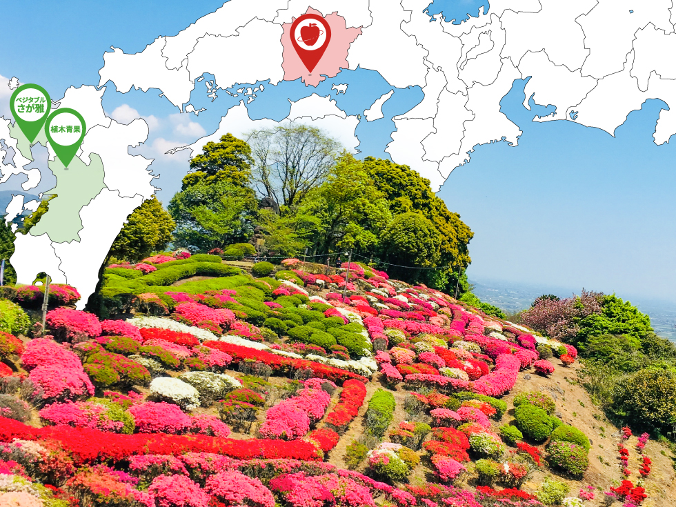 日本三大歌垣のひとつ、佐賀県白石町の「歌垣公園」