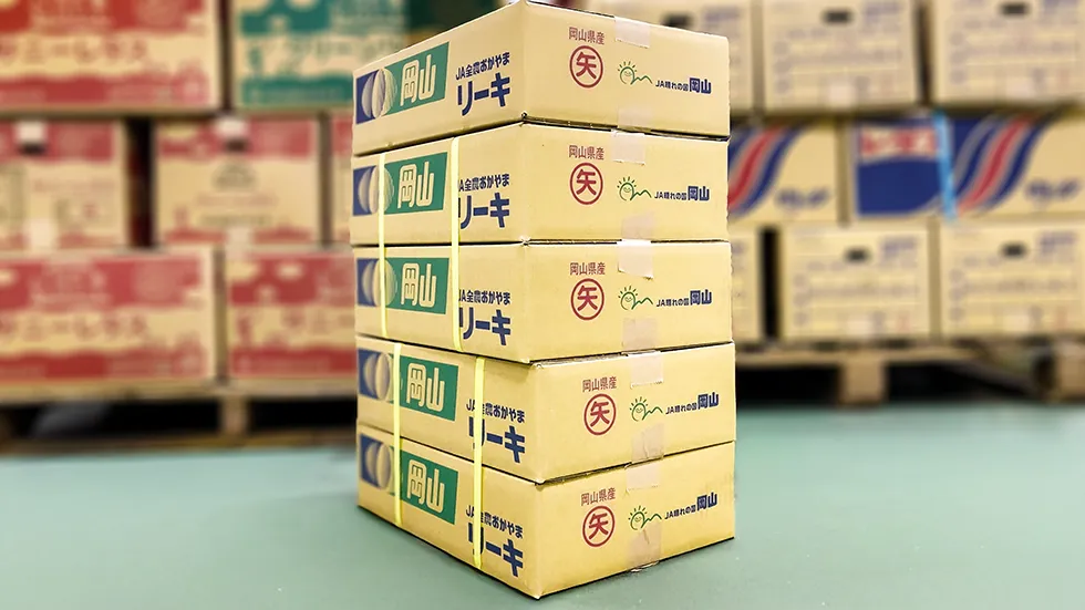 倉敷青果に入荷した岡山県矢掛産のリーキ