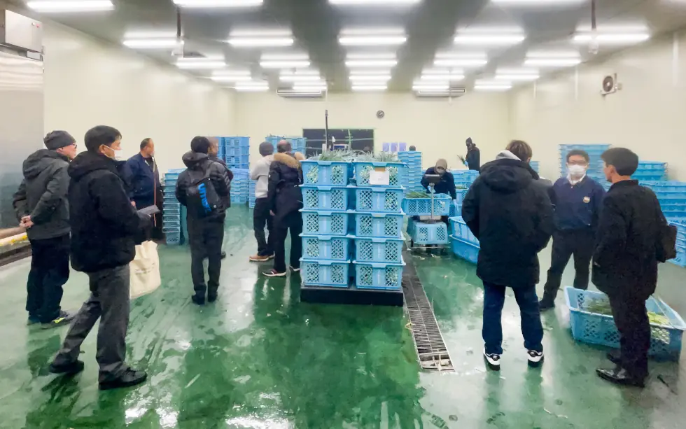 青ねぎ調整室視察