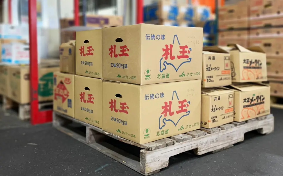 倉敷青果に入荷した札玉(札幌タマネギ)