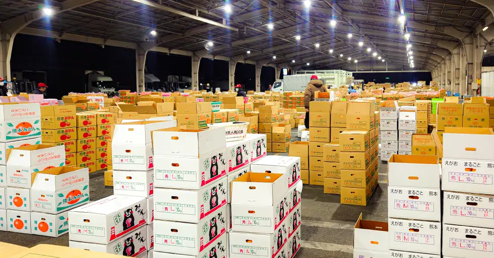 ベジタブルさが雅・植木青果を訪問しました